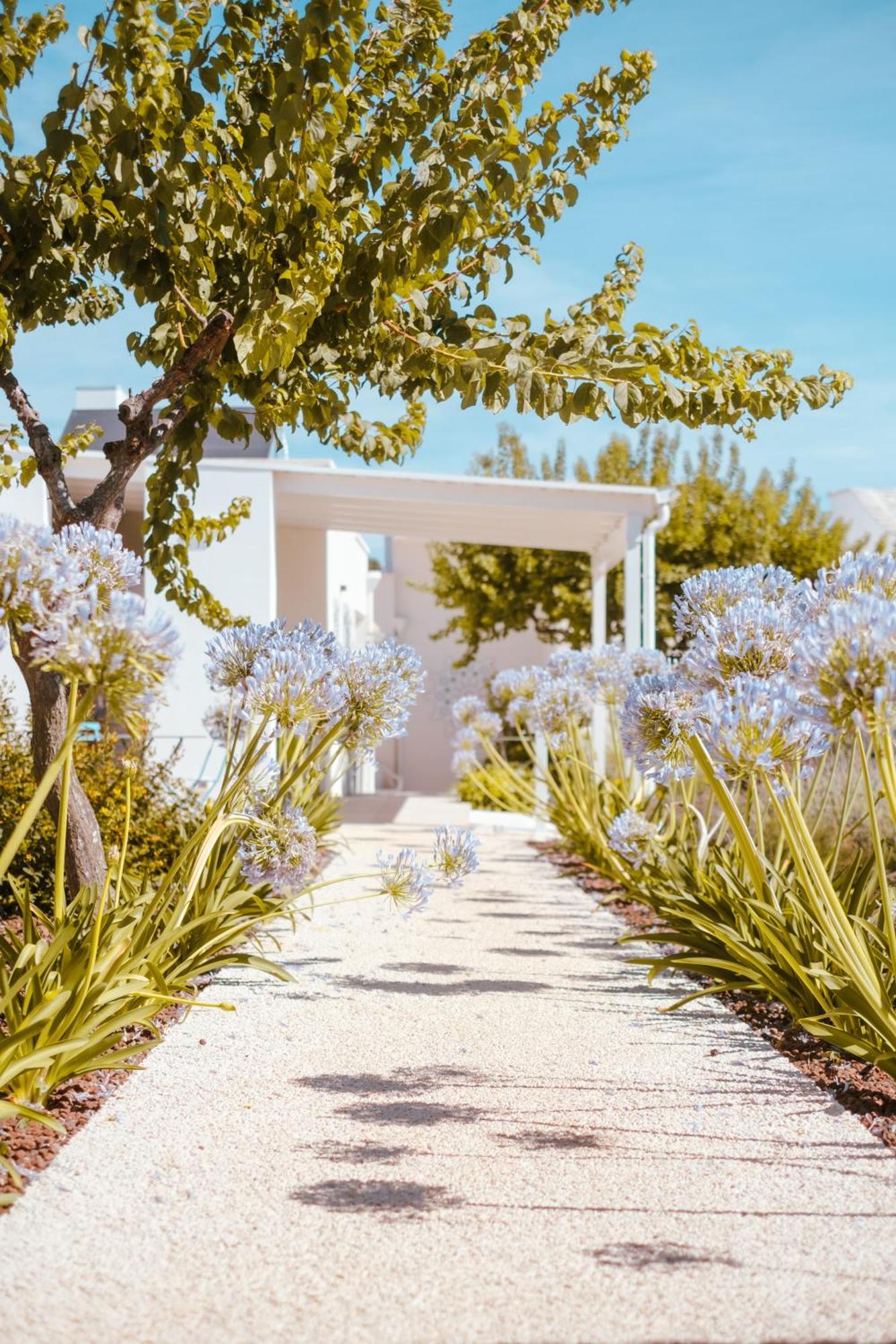 Iconica Luxury Suites Alberobello Exterior foto
